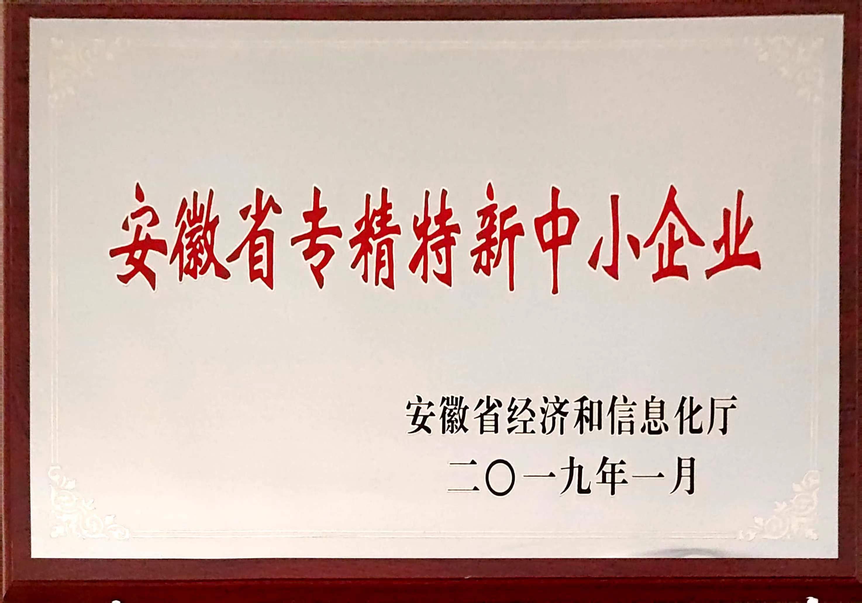 安徽省專精特新企業(yè).jpg