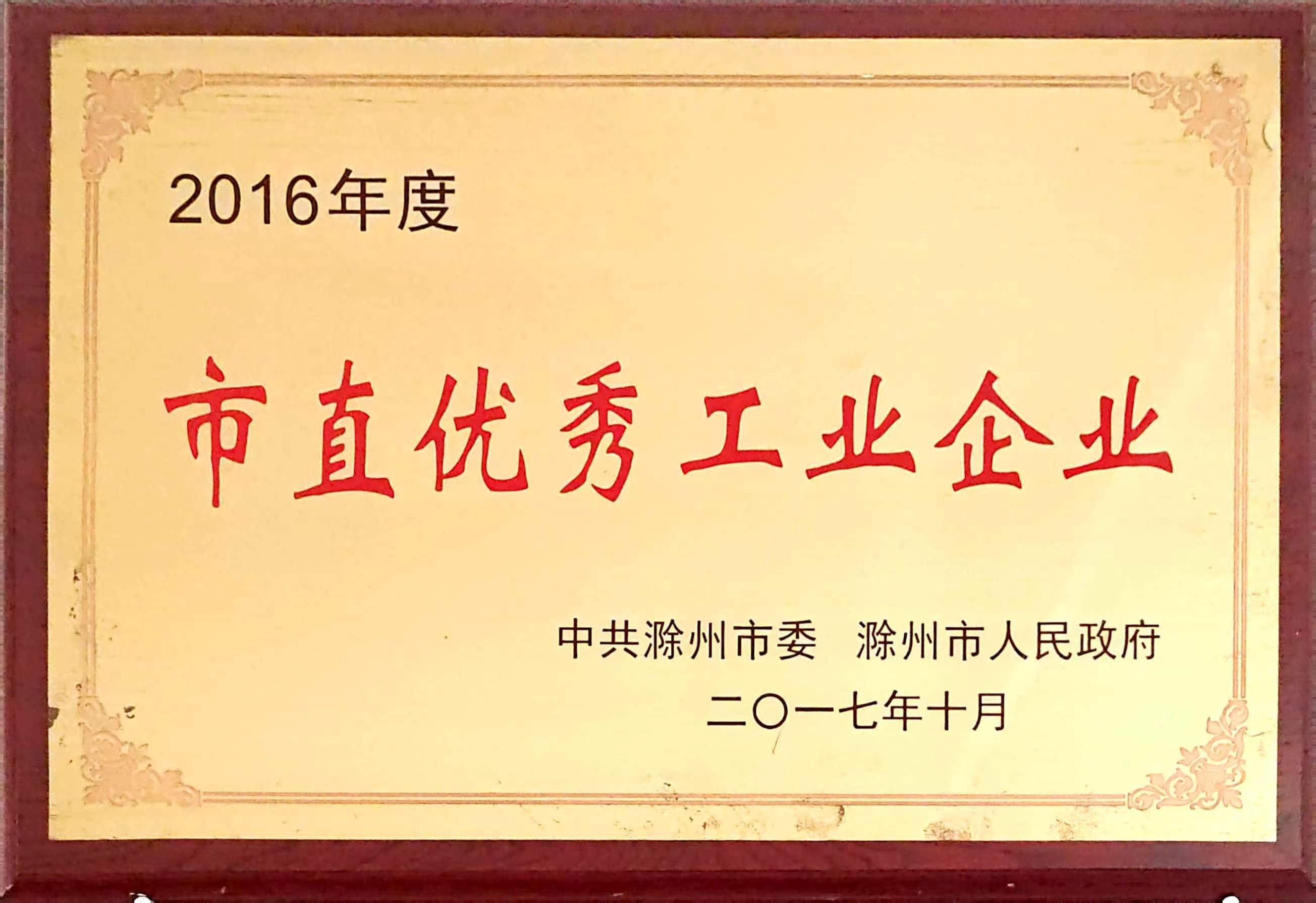 市直優(yōu)秀工業(yè)企業(yè)—2016.jpg